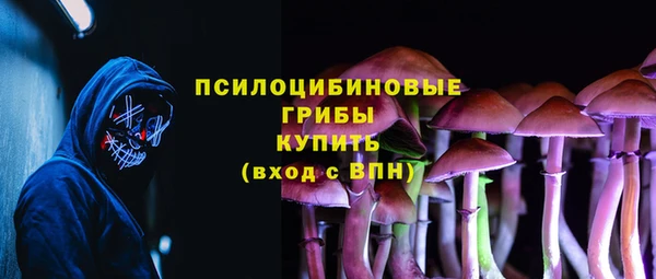 метадон Арсеньев