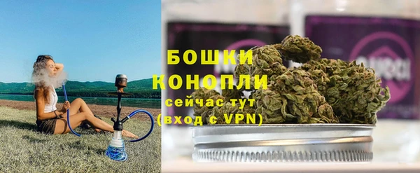 гидра Верхний Тагил