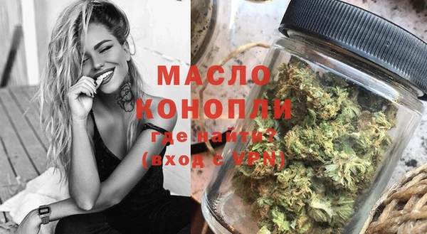 гидра Верхний Тагил